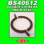 Double Lip Rear Main Seal #BS40612
